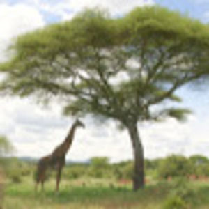 Meet your Posher, Kathryn